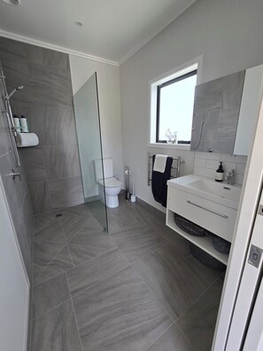 Hair dryer, towels, soap, shampoo