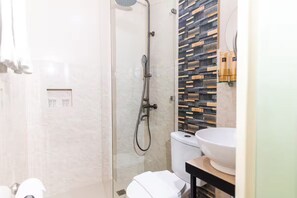 Regadera, secadora de cabello, bidet, toallas 