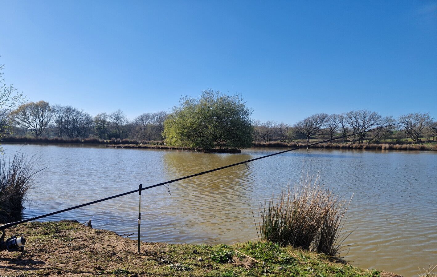 A tranquil lakeside setting with a fishing rod and reel on the shore, surrounded by trees and open water.