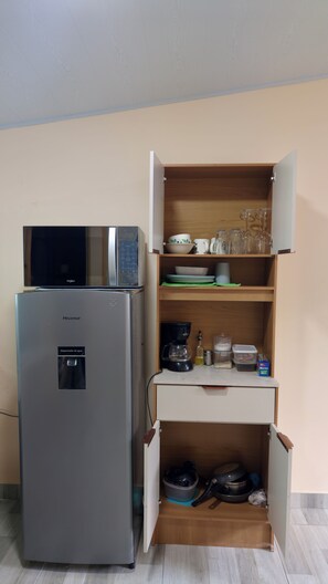 Eine kompakte Küche mit einem Hisense-Kühlschrank, einer Mikrowelle und einer Holzküche mit Einlegeböden für Geschirr.