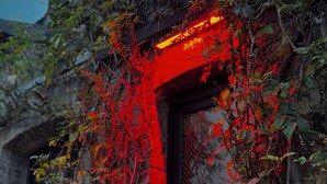Un bâtiment dont l’entrée est illuminée de lumière rouge, et qui est entouré de plantes grimpantes et de lianes.