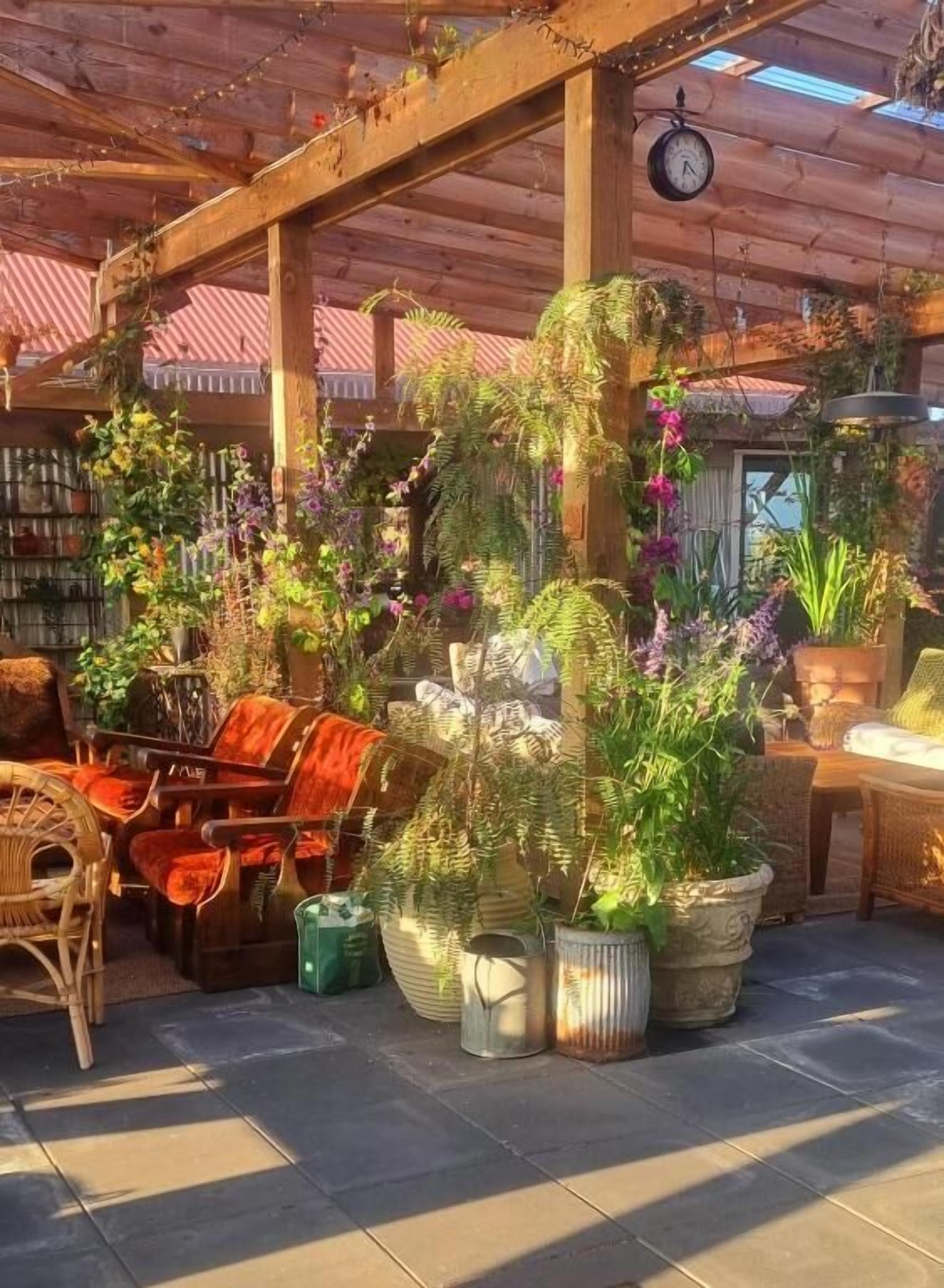 テラス / パティオ