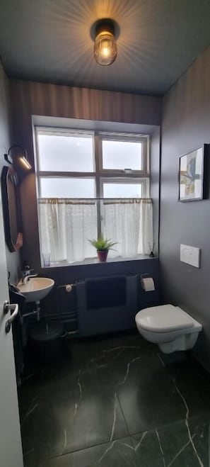 Shower - The Old Schoolhouse - Gaulverjaskoli (Selfoss)