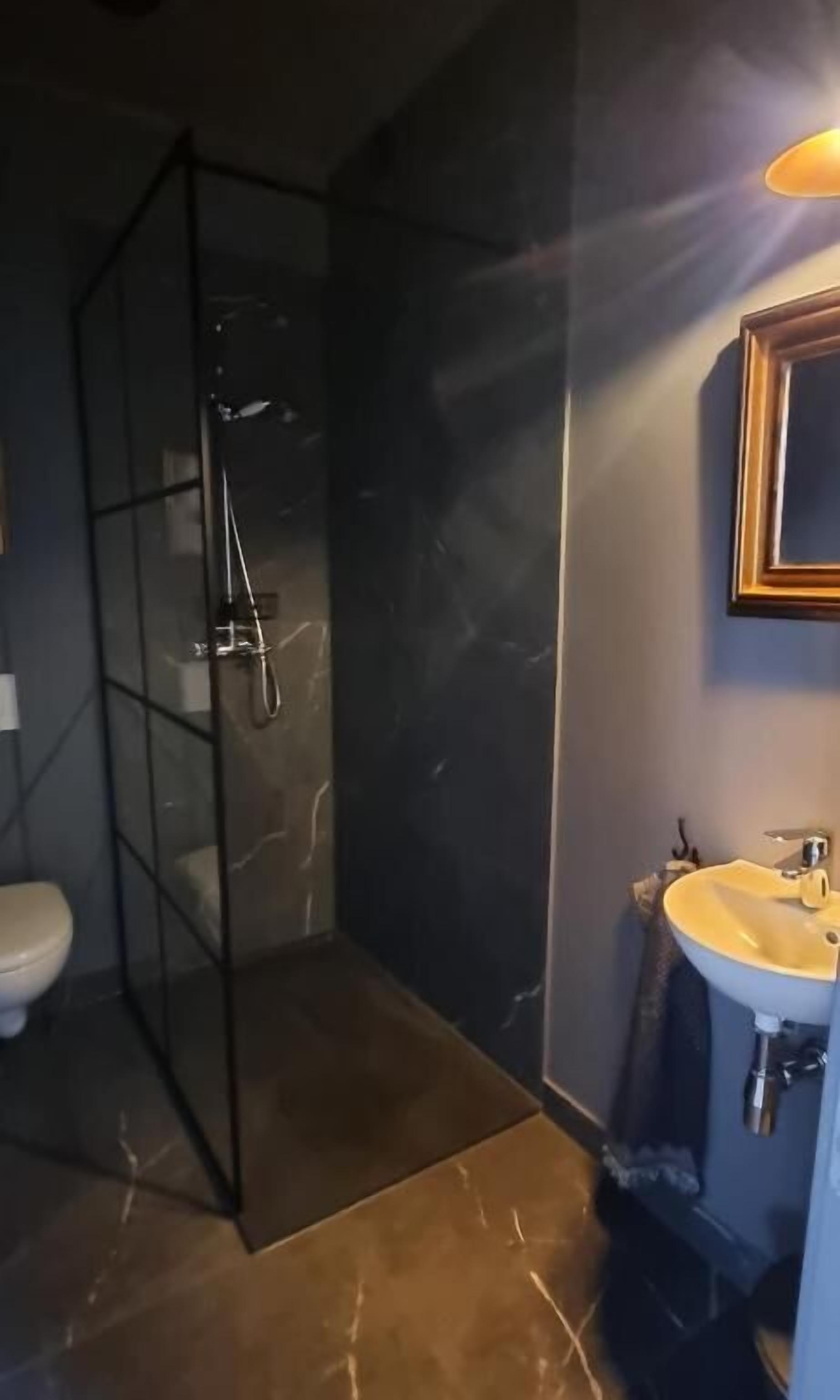 A modern bathroom with a glass-enclosed shower, a white toilet, and a sink with a mirror above it.