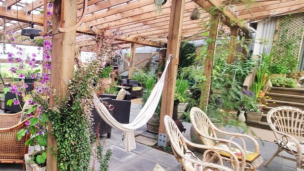 Un patio coperto con mobili in vimini, un'amaca e diverse piante in vaso.