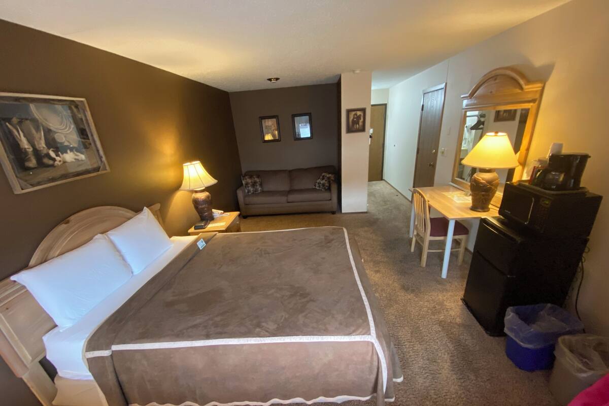 Una habitación de hotel con cama, escritorio, silla, sofá y televisor.