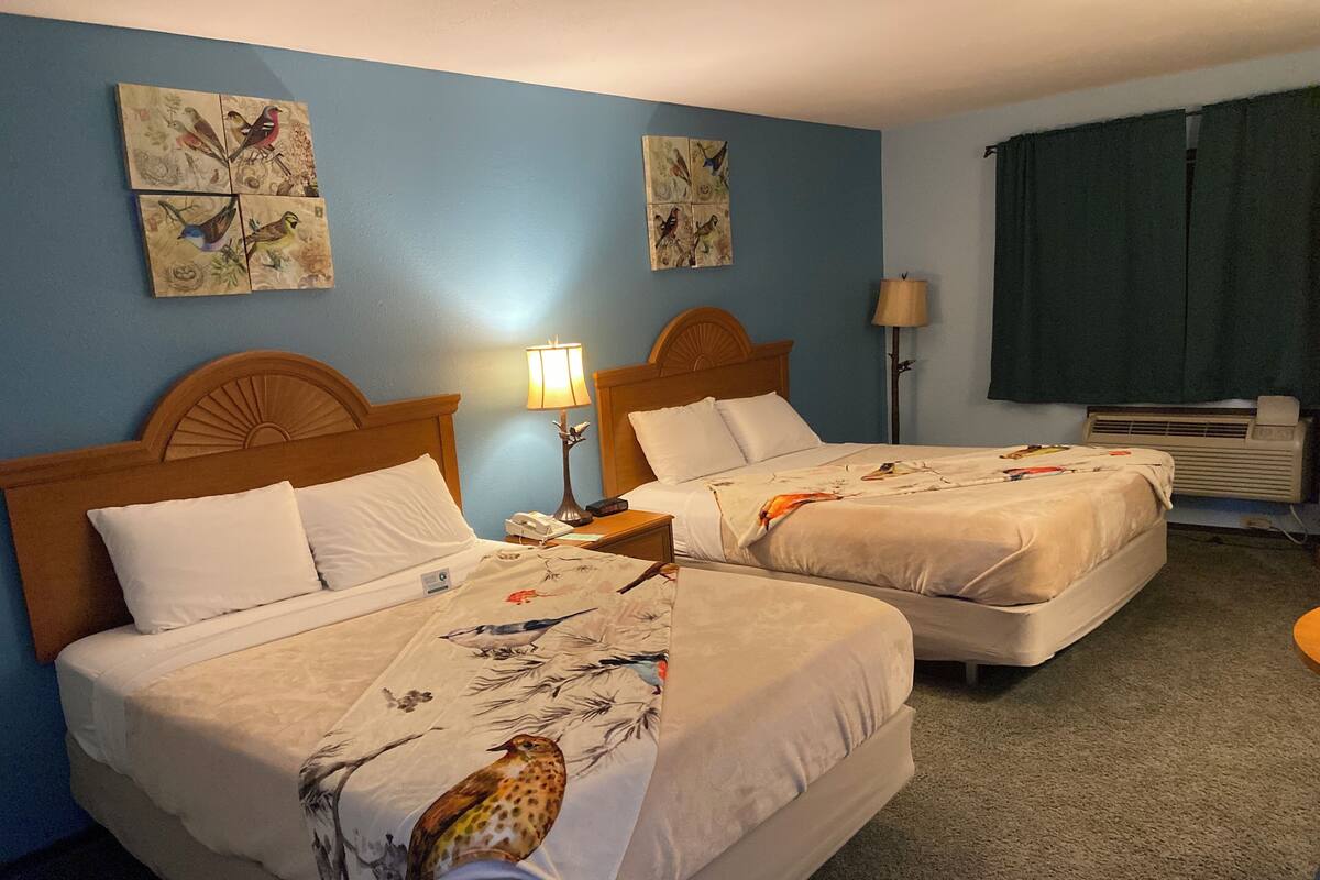 Habitación doble estándar | Cortinas blackout, tabla de planchar con plancha y wifi gratis