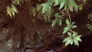 A person climbing a rocky surface with a stream below. - World Famous  Big Wave Camper (Wailuku)