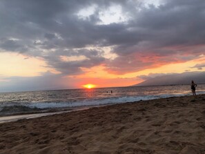 Plage, chaises longues, serviettes de plage