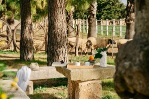 Property grounds - Can Frontera, Esencia Mallorquina entre caballos (Selva)