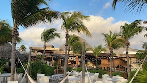 Un complexe hôtelier en bord de mer, doté d’une terrasse, de palmiers et d’un bâtiment à toit de chaume.