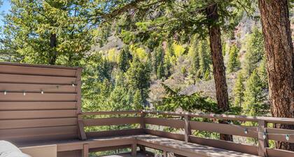 Creekside in Aspen Highlands! Near Maroon Bells Shuttle, Large Patio, Grill & FP, Monthly Rates!