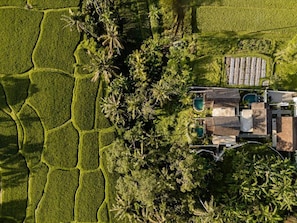 An aerial view of a property with a swimming pool, a guesthouse, and surrounding lush greenery. - View Merta Ubud Villa (Ubud)