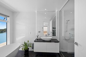 Shower, hair dryer
