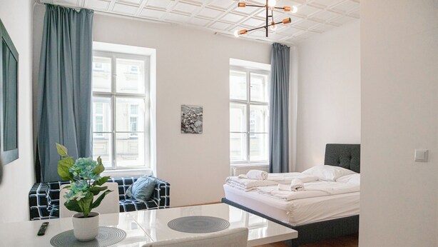 A modern bedroom with a bed, a sofa, a dining table, and a potted plant. - Cozy Convenient Room Prime Location (Vienna)