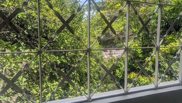 Blick durch ein schmiedeeisernes Fenstergitter mit Balkonbrüstung.
