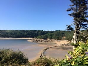 Eine Küstenlandschaft mit blauem Himmel, sandigem Strand und dichtem Wald im Hintergrund.