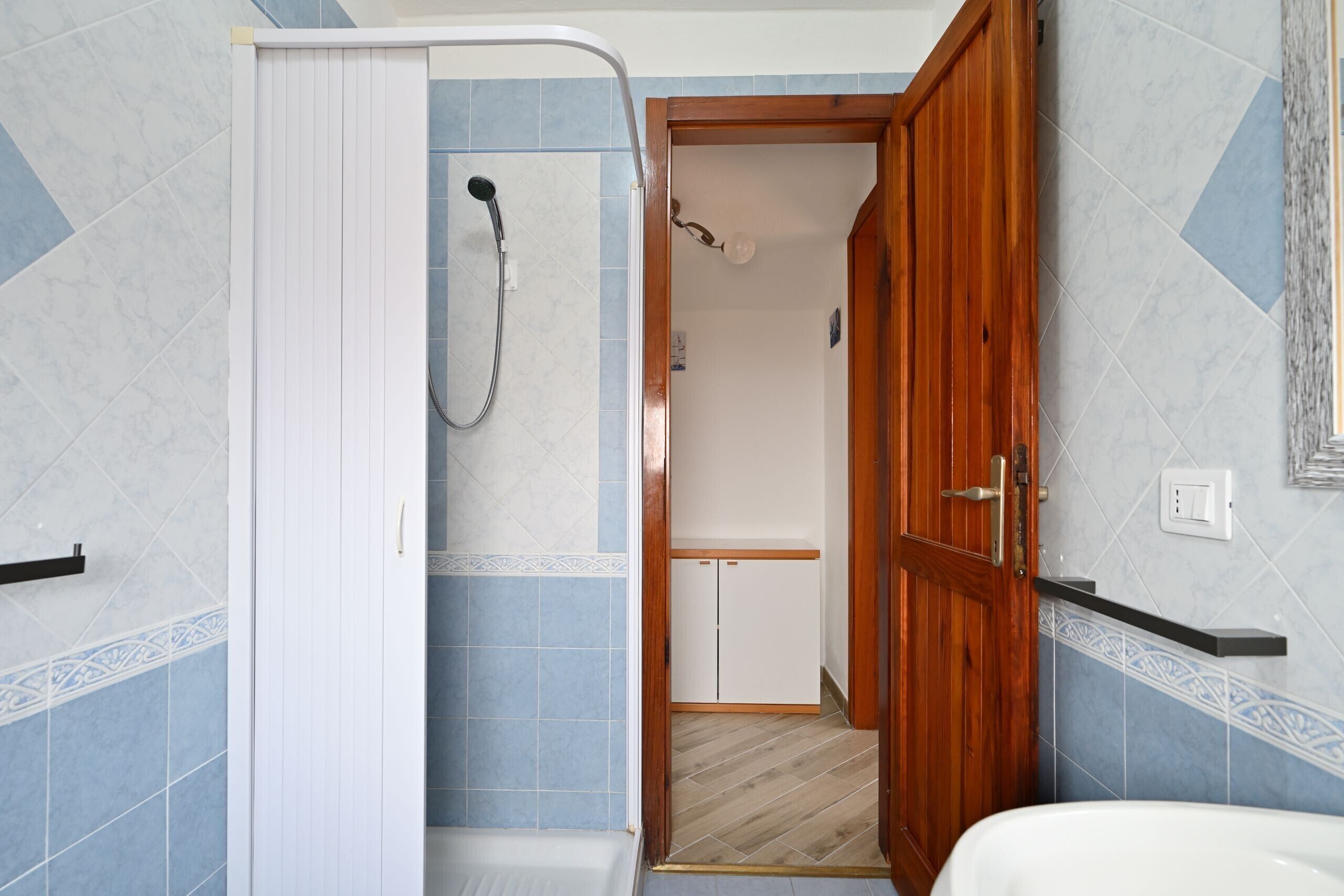 A bathroom with a shower, a wooden door, and blue patterned tiles.