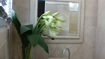 Shower, hair dryer, towels