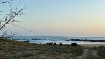 Una spiaggia nelle vicinanze