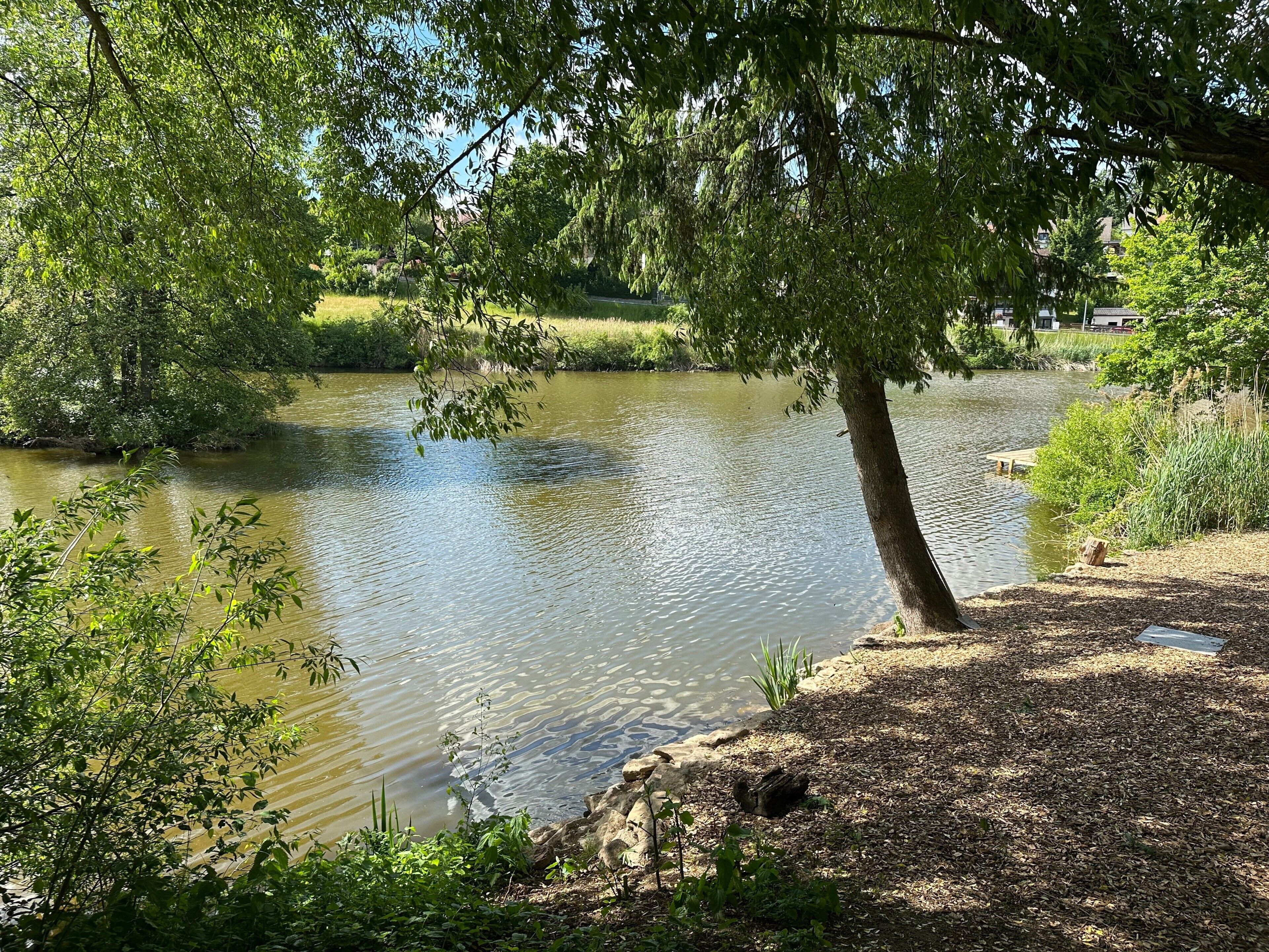 Eine friedliche Flusslandschaft mit Baum, Holzsteg und einer grasbewachsenen Uferböschung.