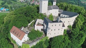 Un castillo rodeado de un bosque denso, con una torre y un edificio grande con muchas ventanas.