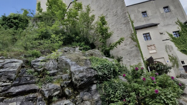 Un edificio que recuerda a un castillo, con una torre, rodeado de vegetación y rocas.