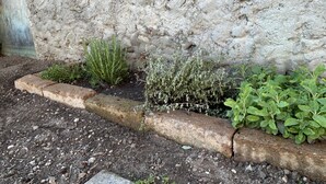 Ein Blumenbeet mit verschiedenen Pflanzen, eine Steinmauer und ein Kiesweg.