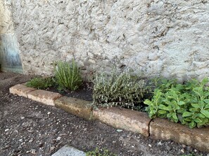A garden bed with various plants, a stone wall, and a gravel path.