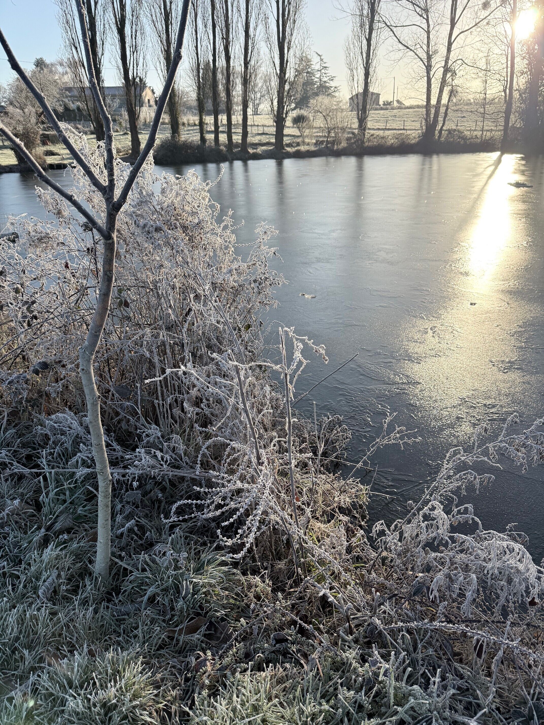 Une rivière gelée, avec une végétation et des arbres couverts de givre en arrière-plan.