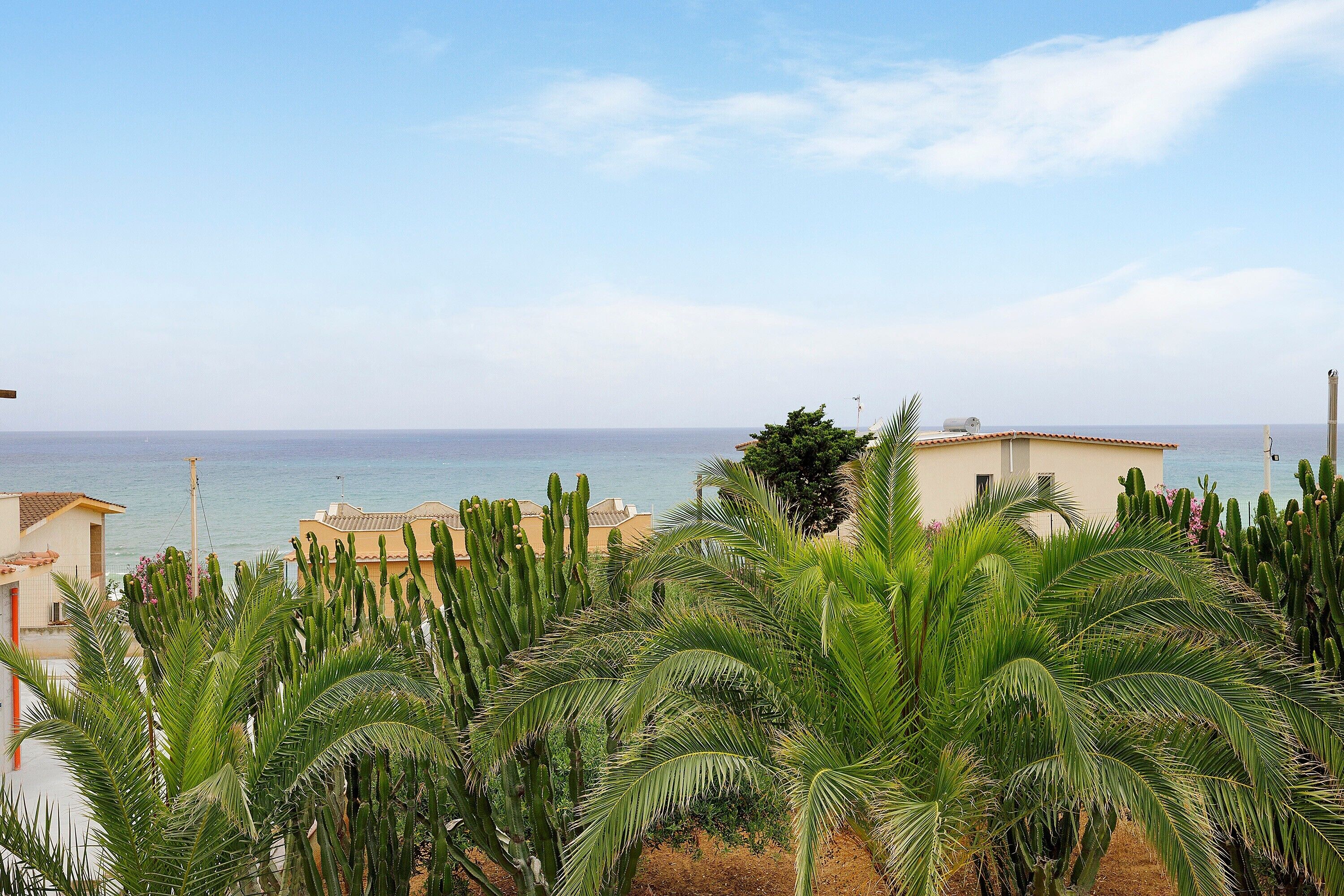 A coastal view with cacti and palm trees, a building with a tiled roof, and the sea in the background.