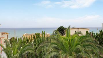 A coastal view with cacti and palm trees, a building with a tiled roof, and the sea in the background.