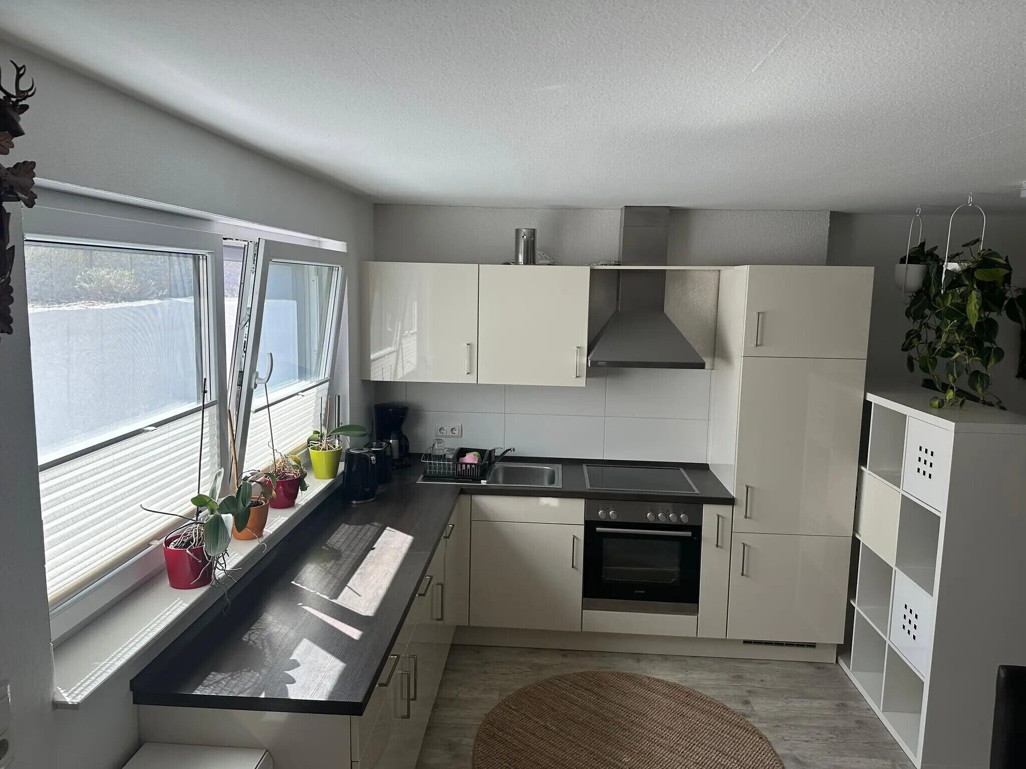 Fridge, oven, stovetop, coffee/tea maker