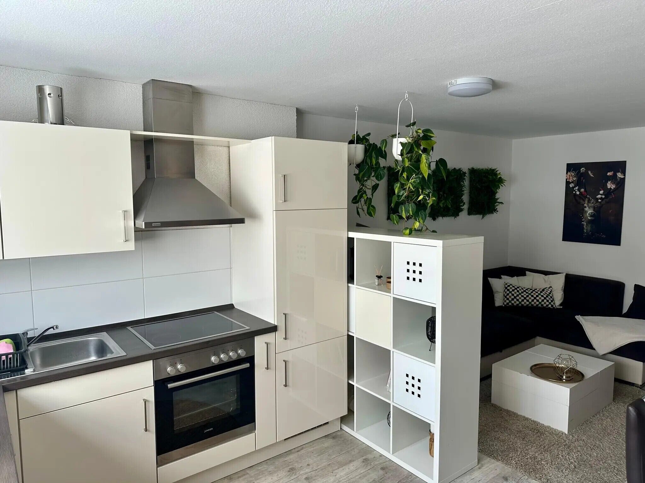 Refrigerador, horno, placa de cocina, cafetera/tetera