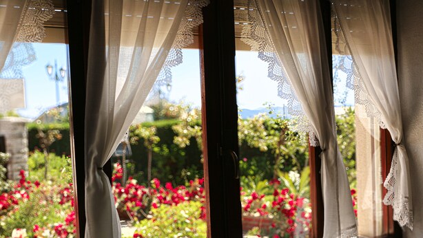 A window with sheer curtains, a view of a garden with red flowers, and a glimpse of a street lamp outside.
