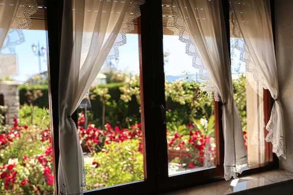A window with sheer curtains, a view of a garden with red flowers, and a glimpse of a street lamp outside.