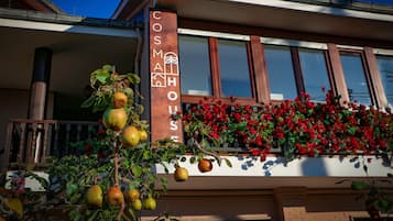 Detalle del exterior