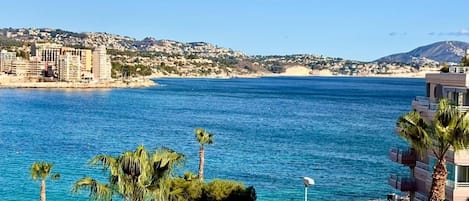 A coastal view with a clear blue sea, buildings, and palm trees.