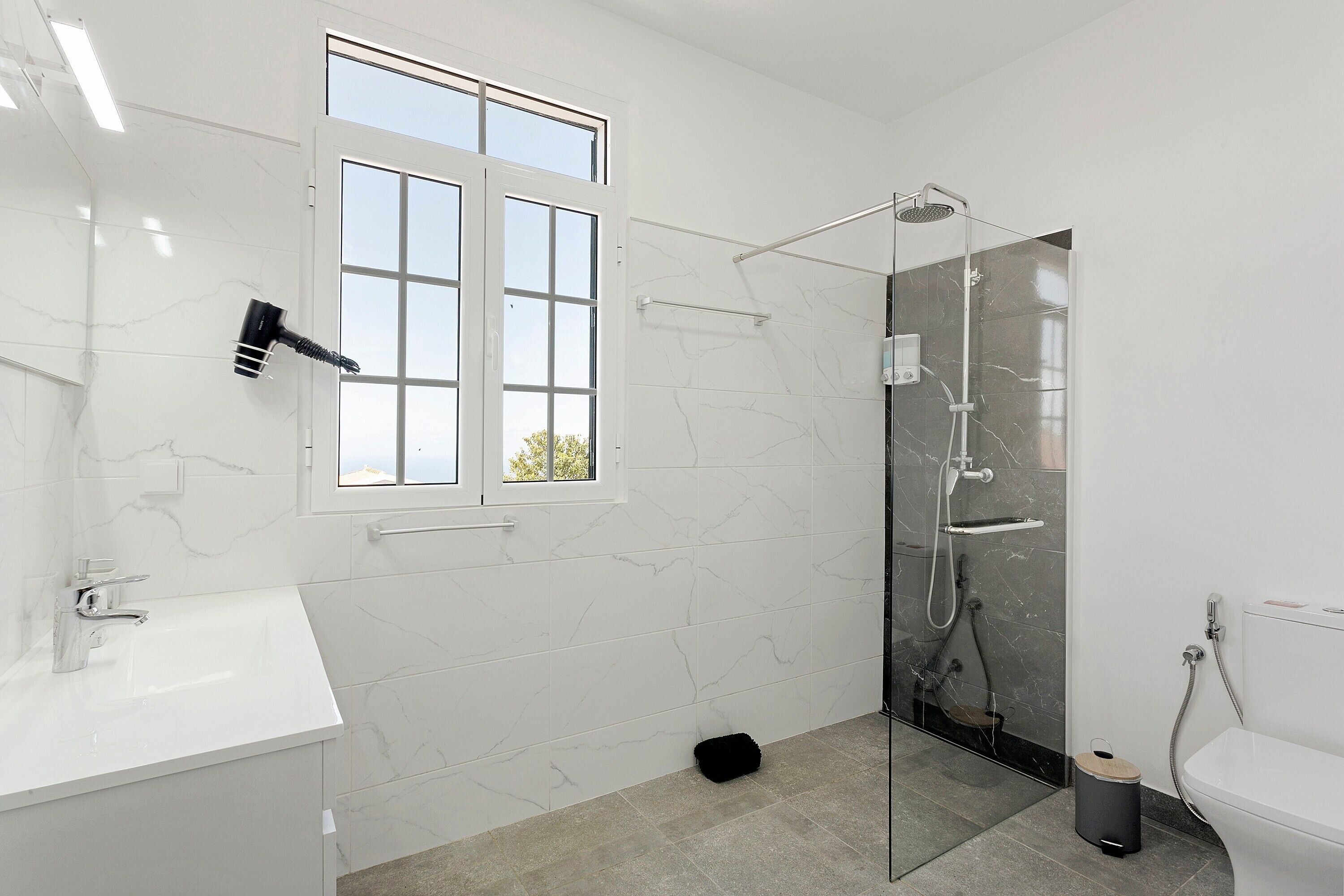 Shower, hair dryer, towels