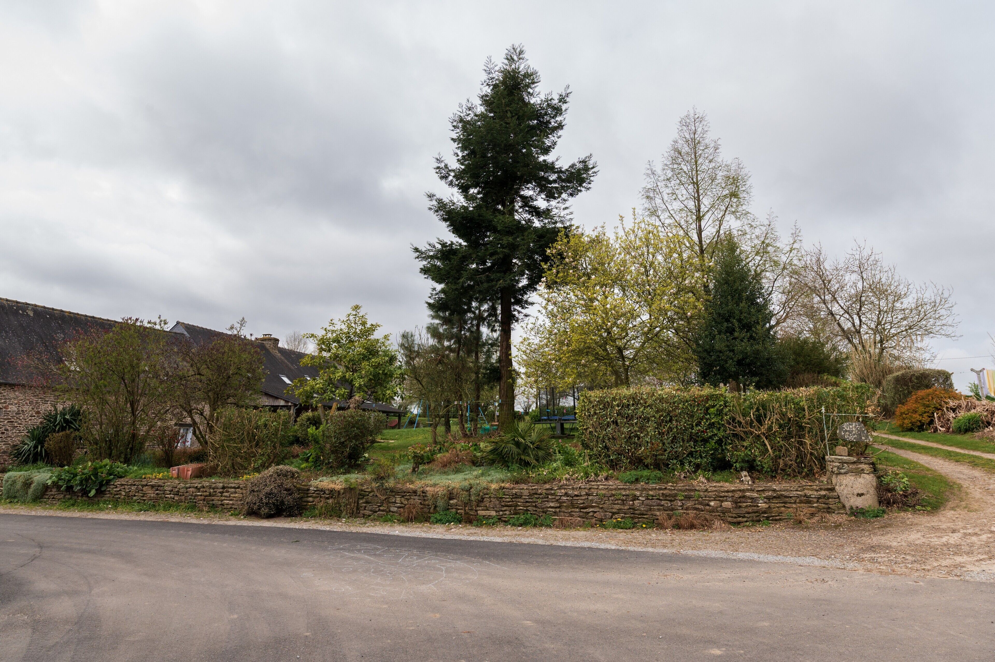 Un paysage rural avec un mur de pierres, un grand arbre à feuilles persistantes et un bâtiment en briques.