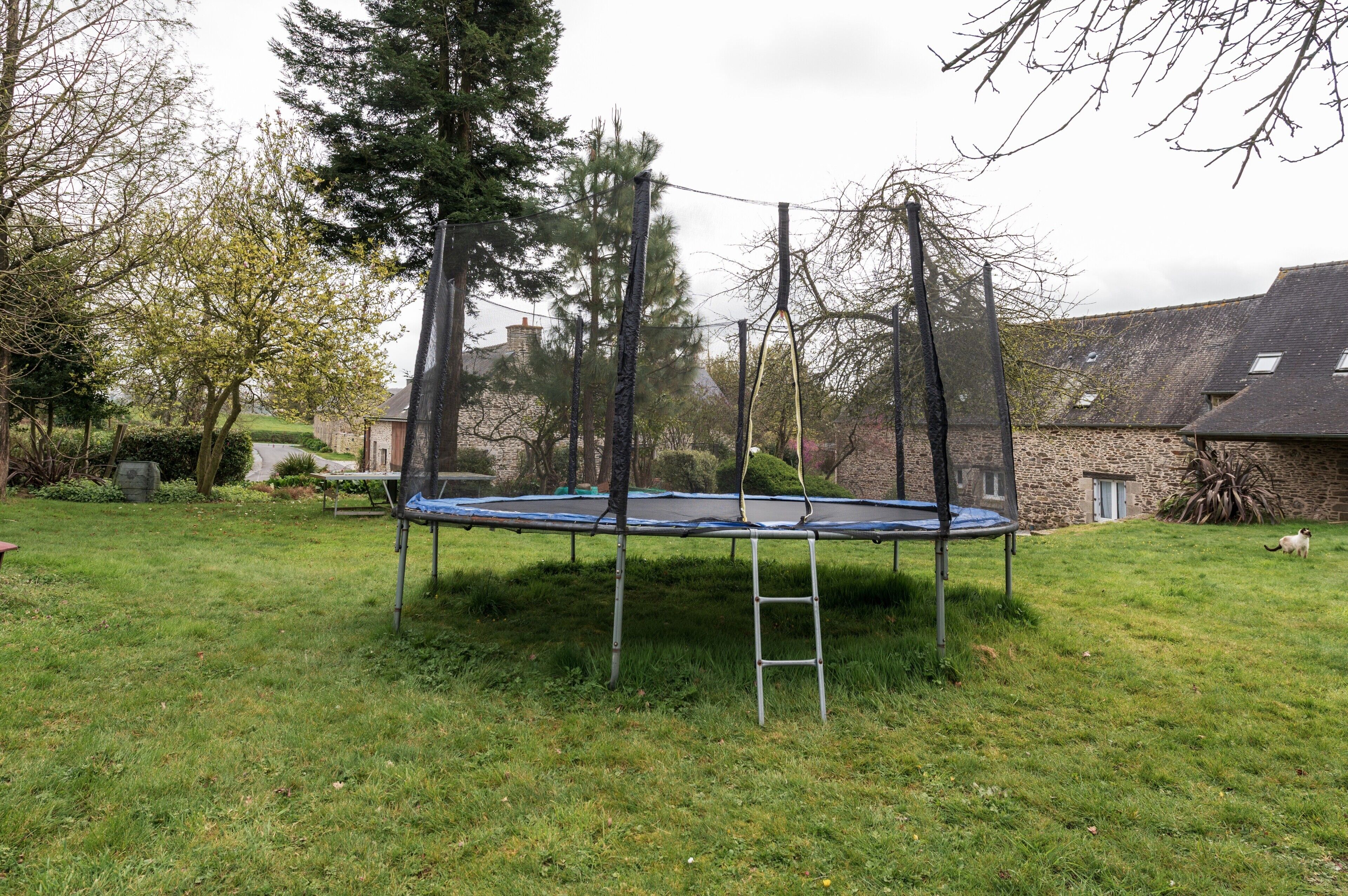 Een trampoline in een gazon met bomen en een gebouw op de achtergrond.