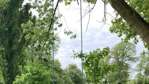 Eine Schaukel im üppigen Garten mit Teich und dichtem Grün.
