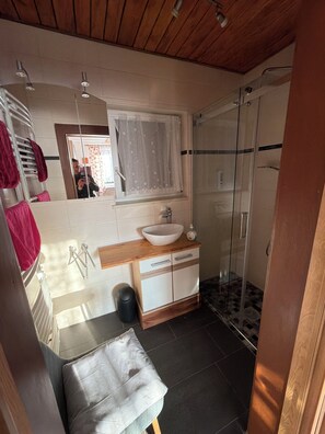 Shower, hair dryer, towels, soap - Pfefferberg vacation apartment with suite and junior suite (Ziegenrück)