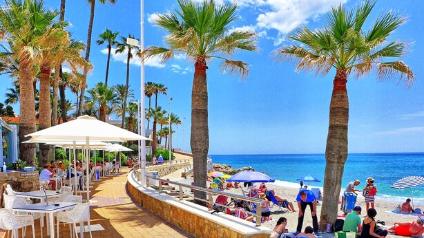 Un café frente a la playa con terraza, palmeras y vistas al océano.