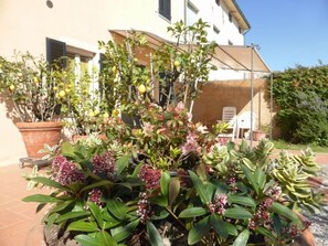 Property grounds - Unterkunft in einer Villa, Schwimmbad und großer by Interhome (Capannori)