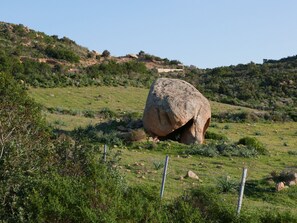 Miscelánea