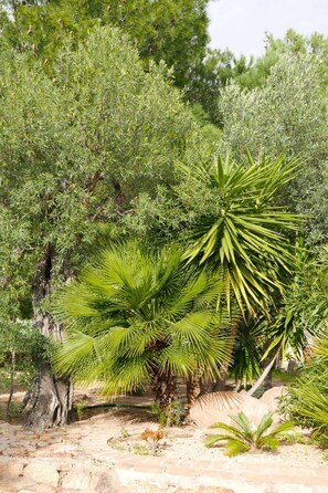 Property grounds - "Cosima" mit Blick auf das Wasser by Interhome (Cala Liberotto)