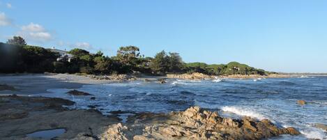 Strand
