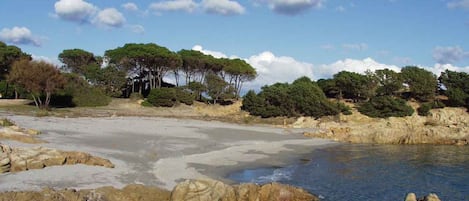 Strand