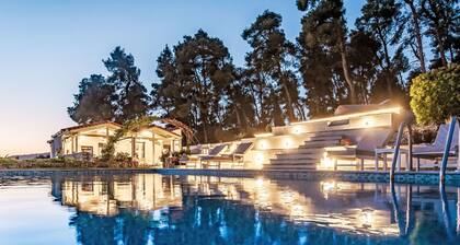 Villa Pine Trees bei Kardous, Skopelos Privater Pool by Interhome